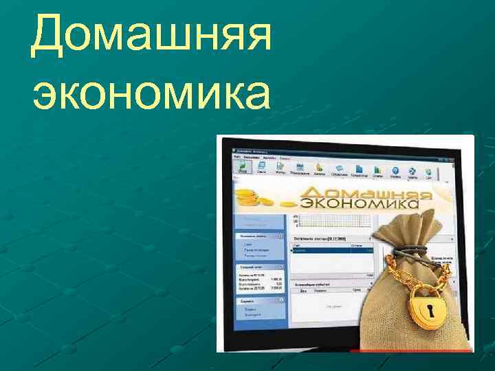 Домашняя экономика 