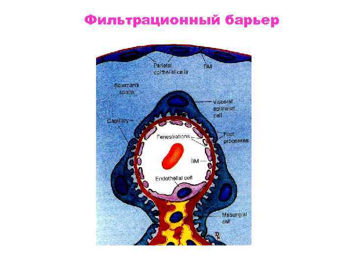 Фильтрационный барьер 