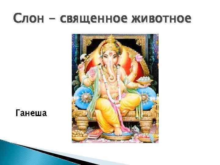 Слон - священное животное Ганеша 