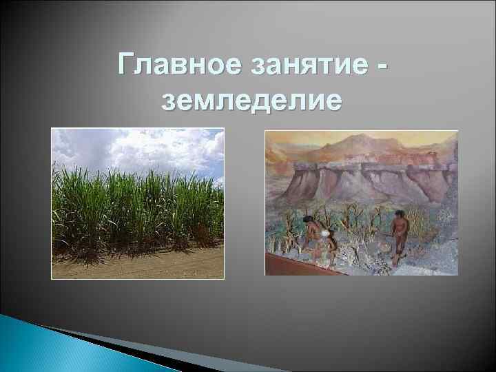 Главное занятие -  земледелие 