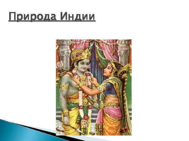 Природа Индии 
