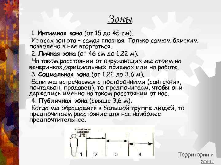      Зоны 1. Интимная зона (от 15 до 45 см).