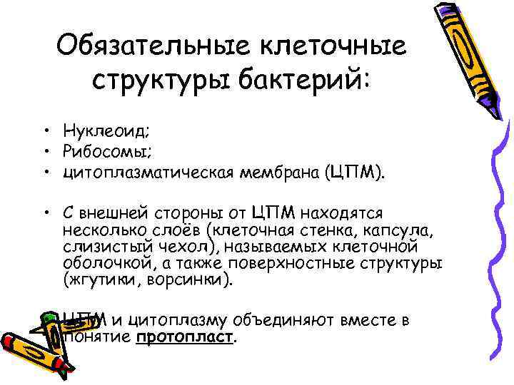  Обязательные клеточные  структуры бактерий:  • Нуклеоид;  • Рибосомы;  •