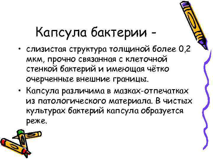  Капсула бактерии - • слизистая структура толщиной более 0, 2  мкм,