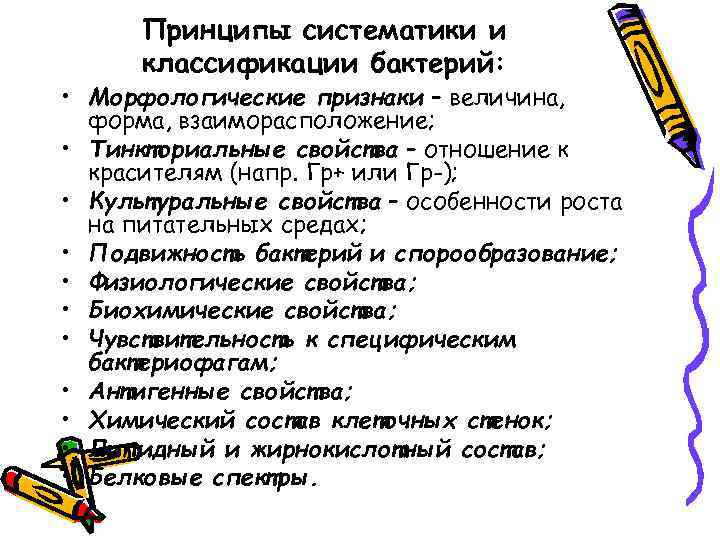  Принципы систематики и  классификации бактерий:  • Морфологические признаки – величина, 