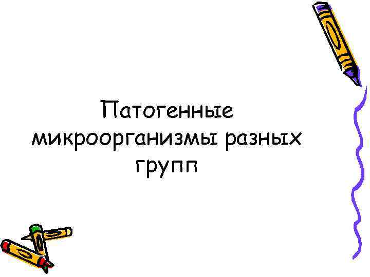  Патогенные микроорганизмы разных   групп 