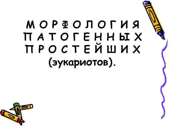 М О Р Ф О Л О Г И Я П А Т О