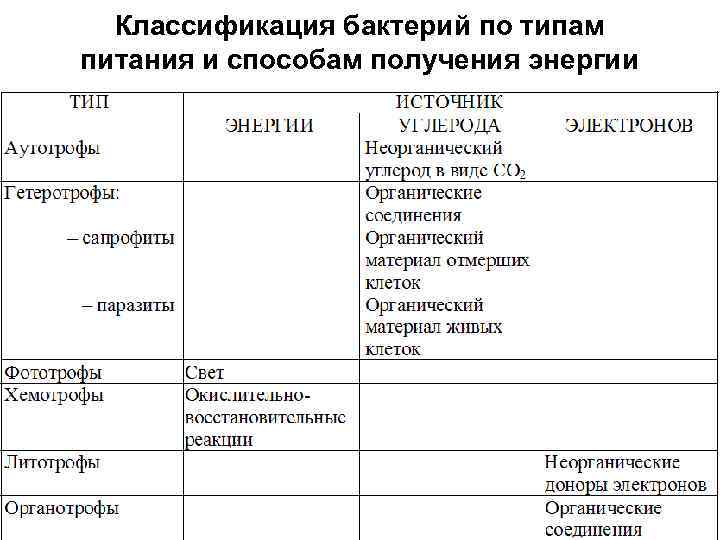  Классификация бактерий по типам питания и способам получения энергии 