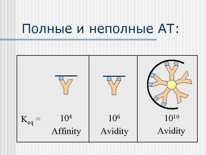 Полные и неполные АТ: Keq = 104  106  1010   Affinity