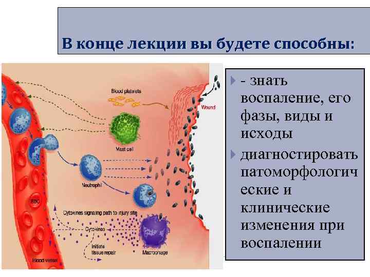 В конце лекции вы будете способны: - знать В конце лекции вы будете способны: - знать