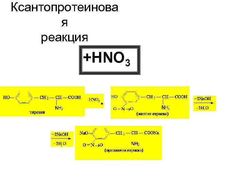 Ксантопротеинова   я реакция  +HNO 3 