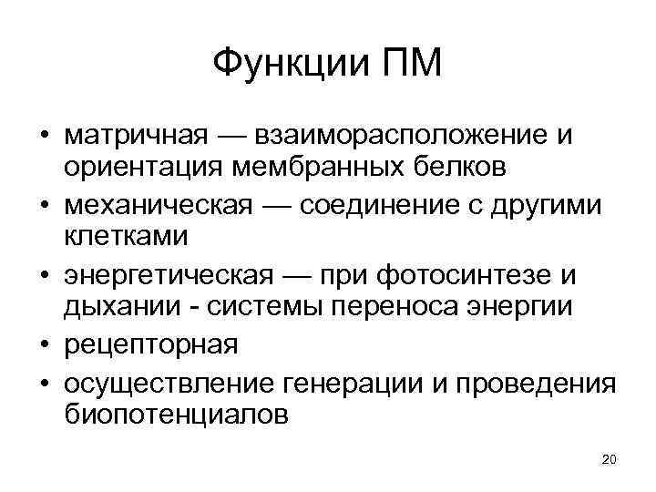   Функции ПМ • матричная — взаиморасположение и  ориентация мембранных белков 