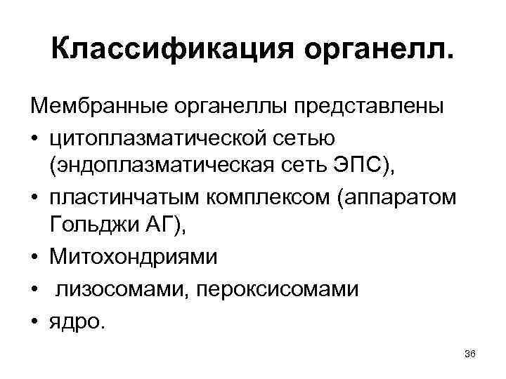  Классификация органелл.  Мембранные органеллы представлены  • цитоплазматической сетью  (эндоплазматическая сеть