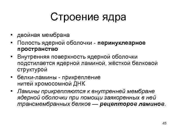   Строение ядра • двойная мембрана  • Полость ядерной оболочки - перинуклеарное