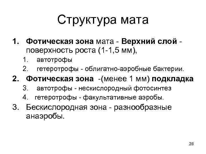  Структура мата 1. Фотическая зона мата - Верхний слой - поверхность роста