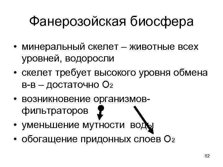   Фанерозойская биосфера • минеральный скелет – животные всех  уровней, водоросли •