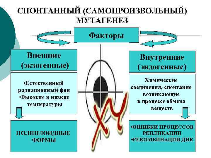 Радиационный мутагенез презентация