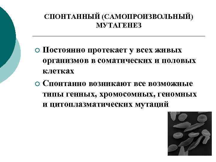 Постоянно протекаю. Спонтанные мутагены. Естественный спонтанный мутагенез. Спонтанный и искусственный мутагенез. Факторы спонтанного мутагенеза.