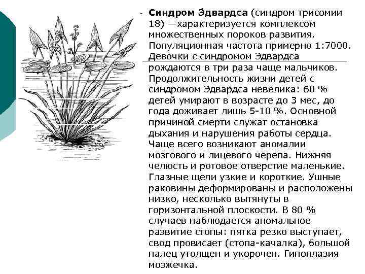 Синдром Э двардса (синдром трисомии 18) —характеризуется комплексом множественных пороков развития.  Популяционная частота