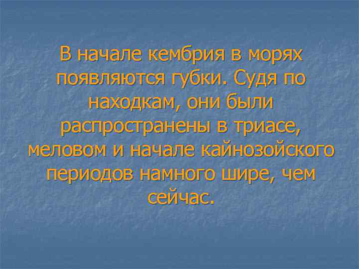 В начале кембрия в морях появляются губки. Судя по находкам, они были распространены в