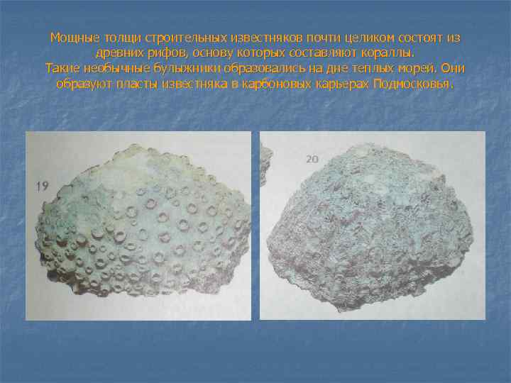 Мощные толщи строительных известняков почти целиком состоят из древних рифов, основу которых составляют кораллы.