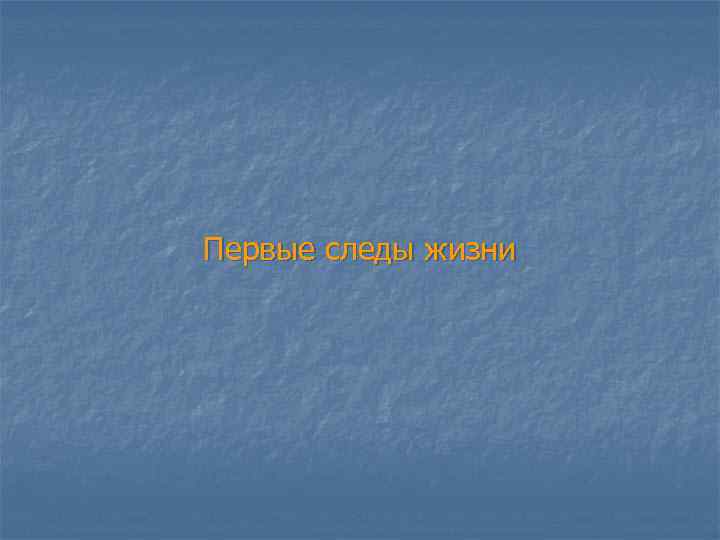 Первые следы жизни 