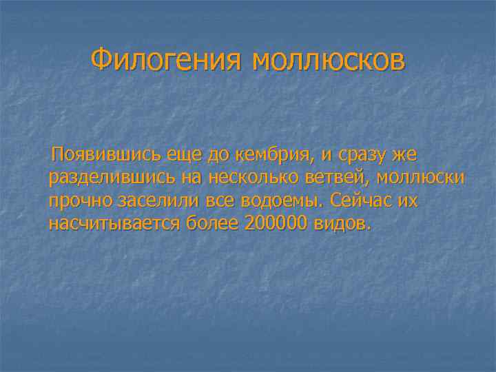 Филогения моллюсков Появившись еще до кембрия, и сразу же разделившись на несколько ветвей, моллюски