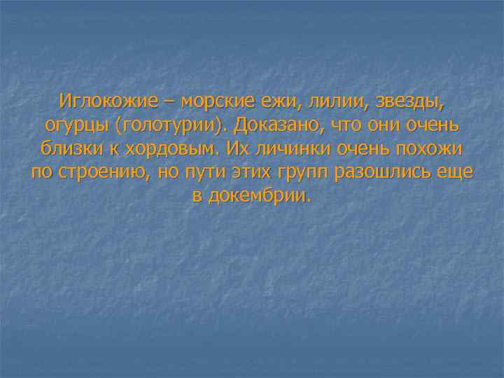 Иглокожие – морские ежи, лилии, звезды, огурцы (голотурии). Доказано, что они очень близки к