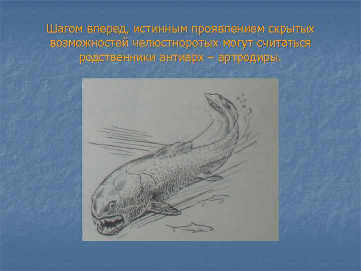 Шагом вперед, истинным проявлением скрытых возможностей челюстноротых могут считаться родственники антиарх – артродиры. 