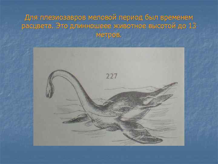 Для плезиозавров меловой период был временем расцвета. Это длинношеее животное высотой до 13 метров.