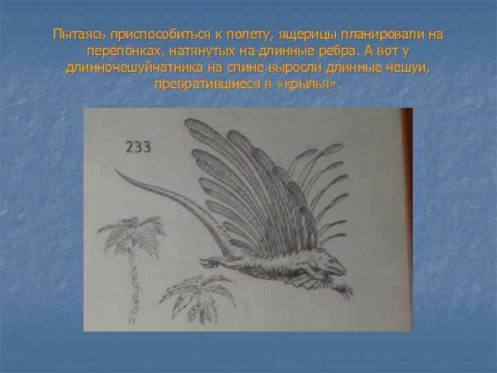 Пытаясь приспособиться к полету, ящерицы планировали на перепонках, натянутых на длинные ребра. А вот
