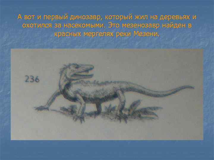 А вот и первый динозавр, который жил на деревьях и охотился за насекомыми. Это