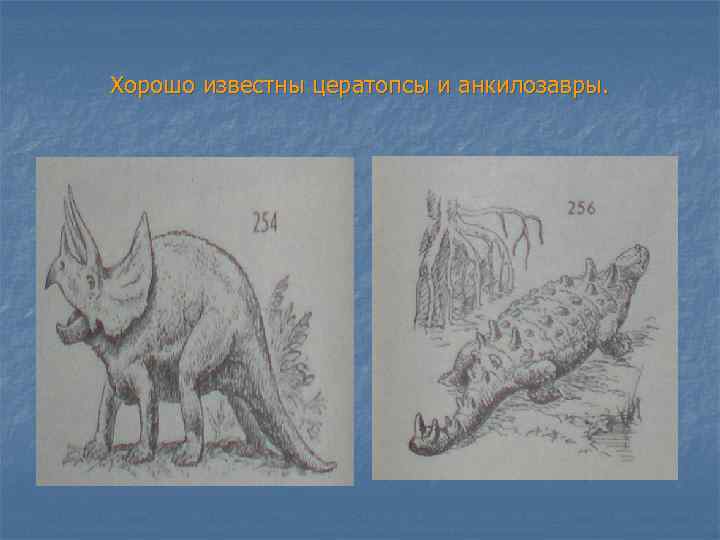 Хорошо известны цератопсы и анкилозавры. 