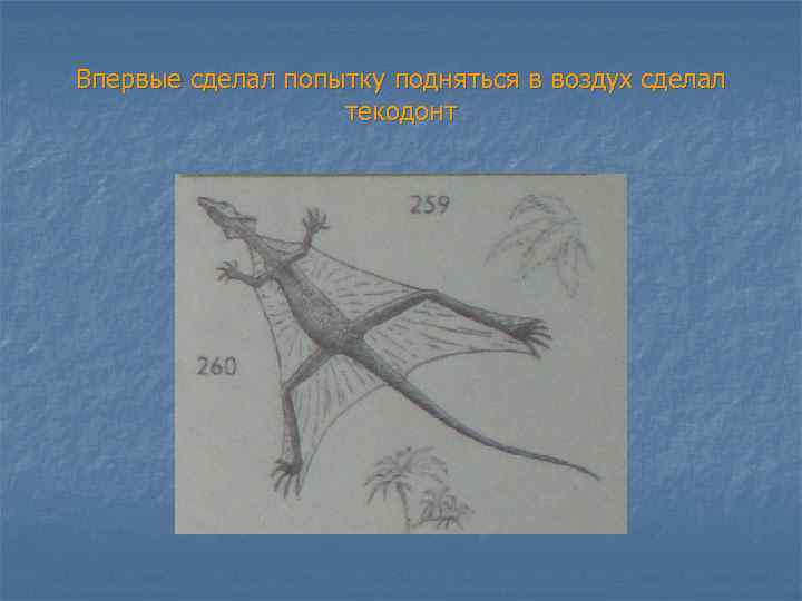 Впервые сделал попытку подняться в воздух сделал текодонт 