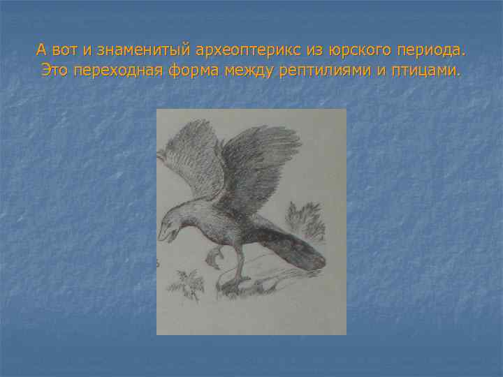 А вот и знаменитый археоптерикс из юрского периода. Это переходная форма между рептилиями и
