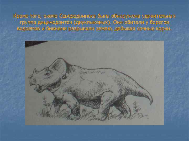 Кроме того, около Северодвинска была обнаружена удивительная группа дицинодонтов (двуклыковых). Они обитали у берегов