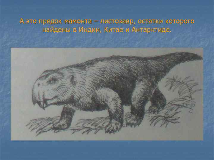 А это предок мамонта – листозавр, остатки которого найдены в Индии, Китае и Антарктиде.