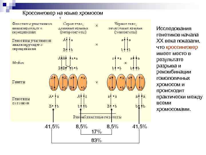 Кроссинговер на языке хромосом     Исследования     генетиков