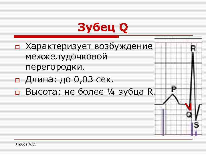    Зубец Q o  Характеризует возбуждение межжелудочковой перегородки. o  Длина: