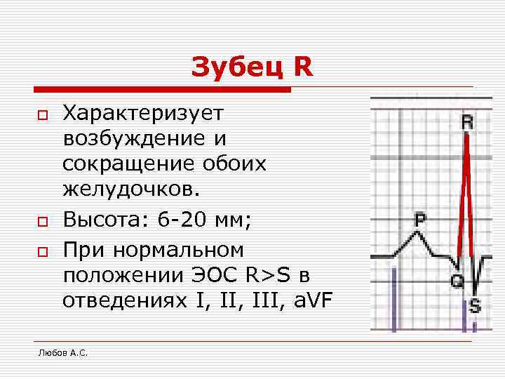     Зубец R o  Характеризует возбуждение и сокращение обоих желудочков.