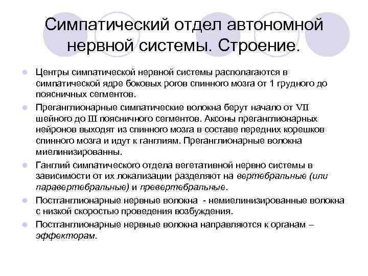  Симпатический отдел автономной   нервной системы. Строение. l  Центры симпатической нервной