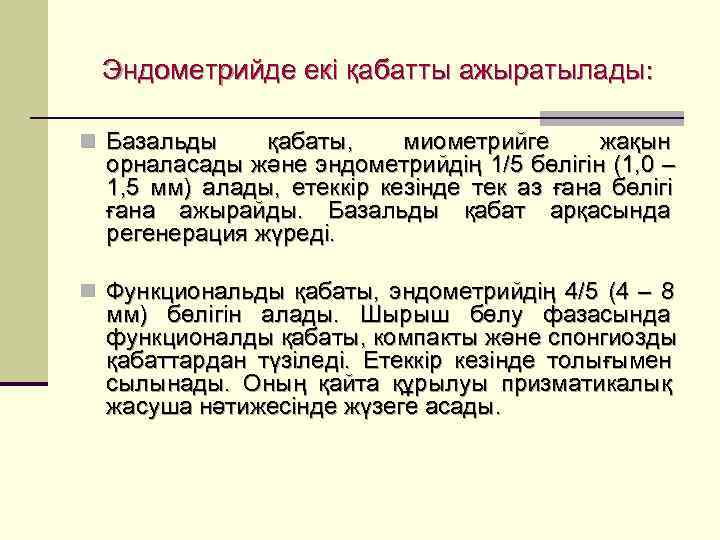  Эндометрийде екі қабатты ажыратылады:  n Базальды  қабаты,  миометрийге  