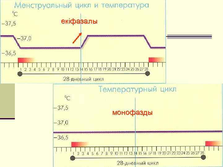 екіфазалы   монофазды 