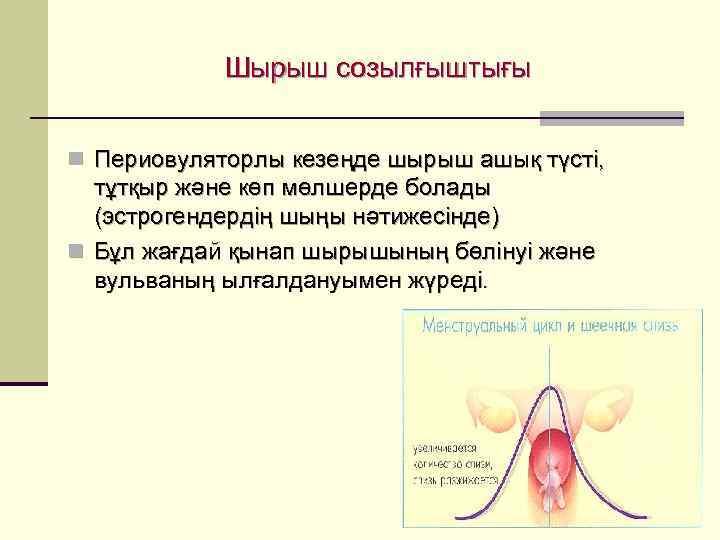   Шырыш созылғыштығы  n Периовуляторлы кезеңде шырыш ашық түсті, тұтқыр және көп
