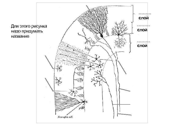     ………     слой Для этого рисунка 
