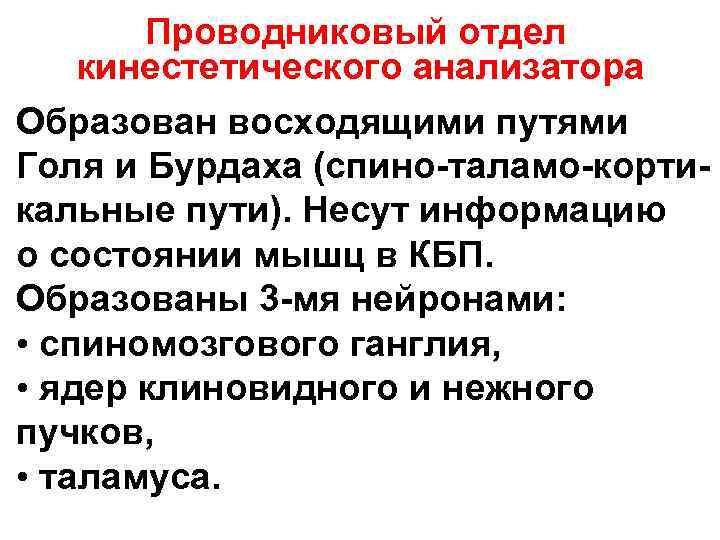 Проводниковый отдел кинестетического анализатора Образован восходящими путями Голя и Бурдаха (спино-таламо-корти- кальные Проводниковый отдел кинестетического анализатора Образован восходящими путями Голя и Бурдаха (спино-таламо-корти- кальные