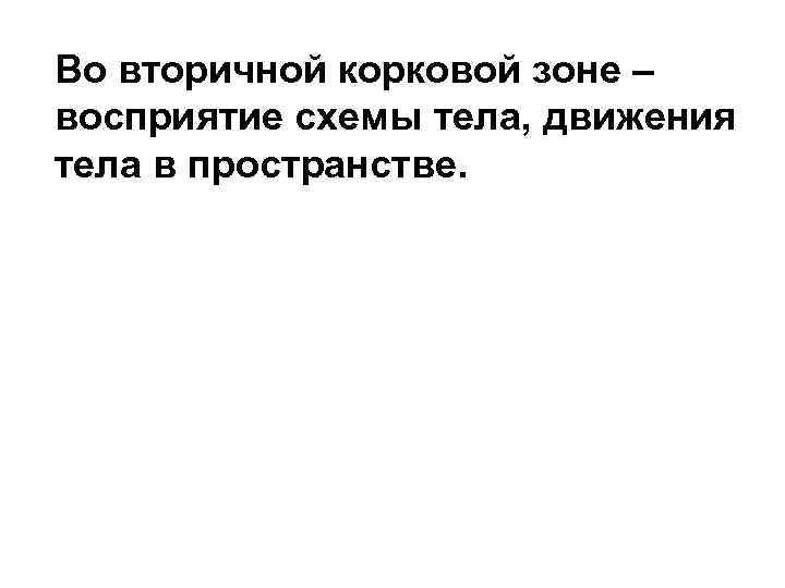 Во вторичной корковой зоне – восприятие схемы тела, движения тела в пространстве. Во вторичной корковой зоне – восприятие схемы тела, движения тела в пространстве.