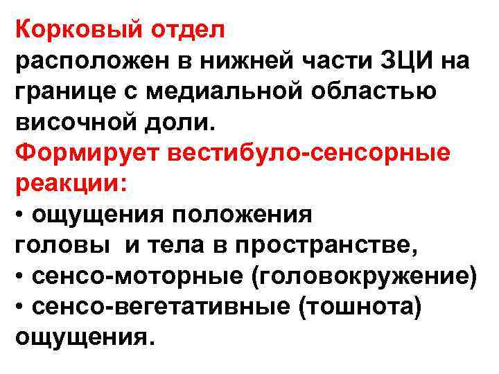 Корковый отдел расположен в нижней части ЗЦИ на границе с медиальной областью височной доли. Корковый отдел расположен в нижней части ЗЦИ на границе с медиальной областью височной доли.