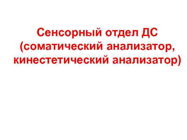 Сенсорный отдел ДС (соматический анализатор, кинестетический анализатор) Сенсорный отдел ДС (соматический анализатор, кинестетический анализатор)