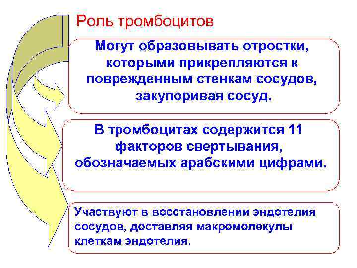 Роль тромбоцитов  Могут образовывать отростки, которыми прикрепляются к поврежденным стенкам сосудов,  